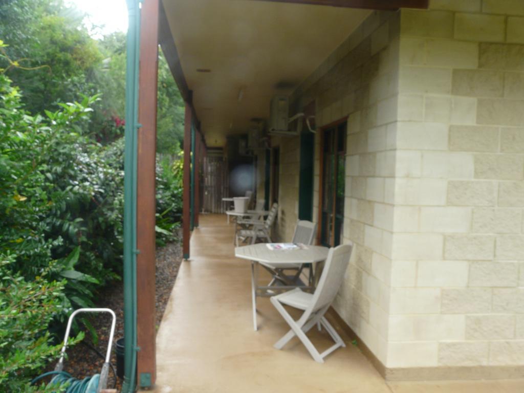 Curtain Fig Motel Yungaburra Eksteriør billede